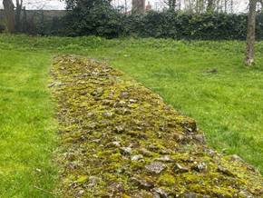 A stone wall with moss growing on it

Description automatically generated